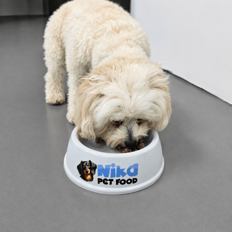 Dog eating Nika Pet Food from a bowl
