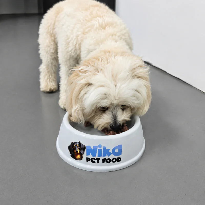 Dog eating Nika Pet Food from a bowl