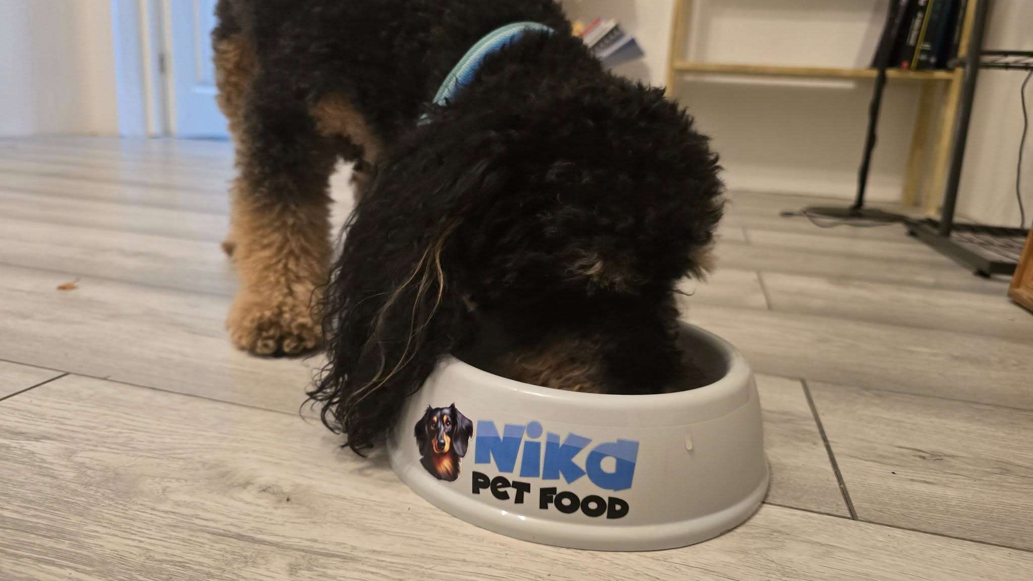 Black and tan dog eating Nika Pet Food from a branded bowl
